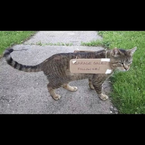 Meet your Posher, Anson - Picture 1 of 1